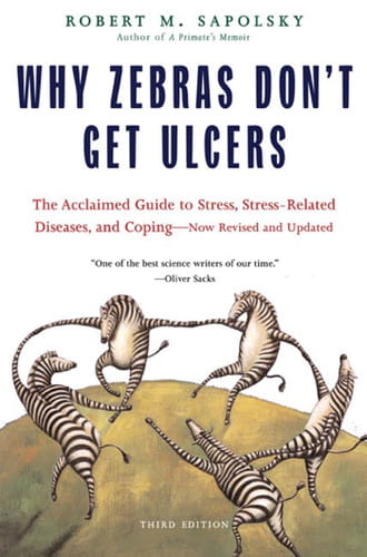 a book cover